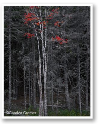 Fine photographic print by Charles Cramer, at Sun to Moon Gallery, Dallas, TX